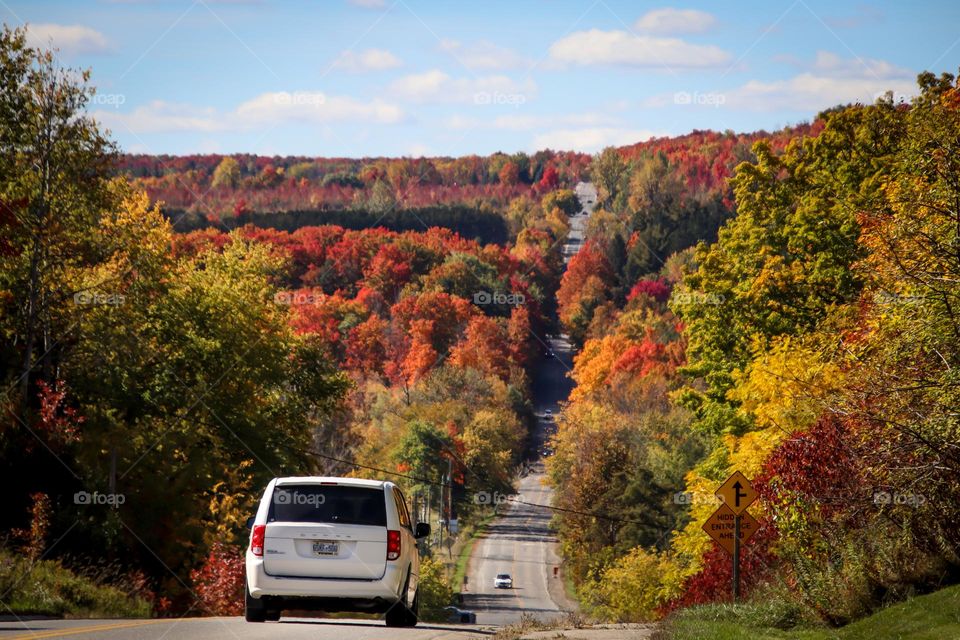 Road trip in a beautiful autumn