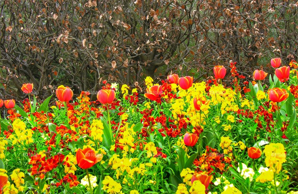 christchurch contrast