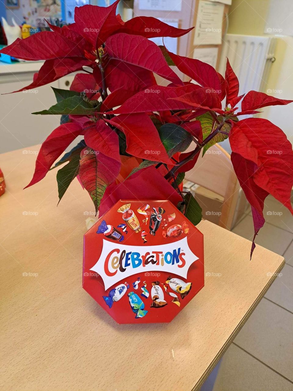chocolates candies célébrations