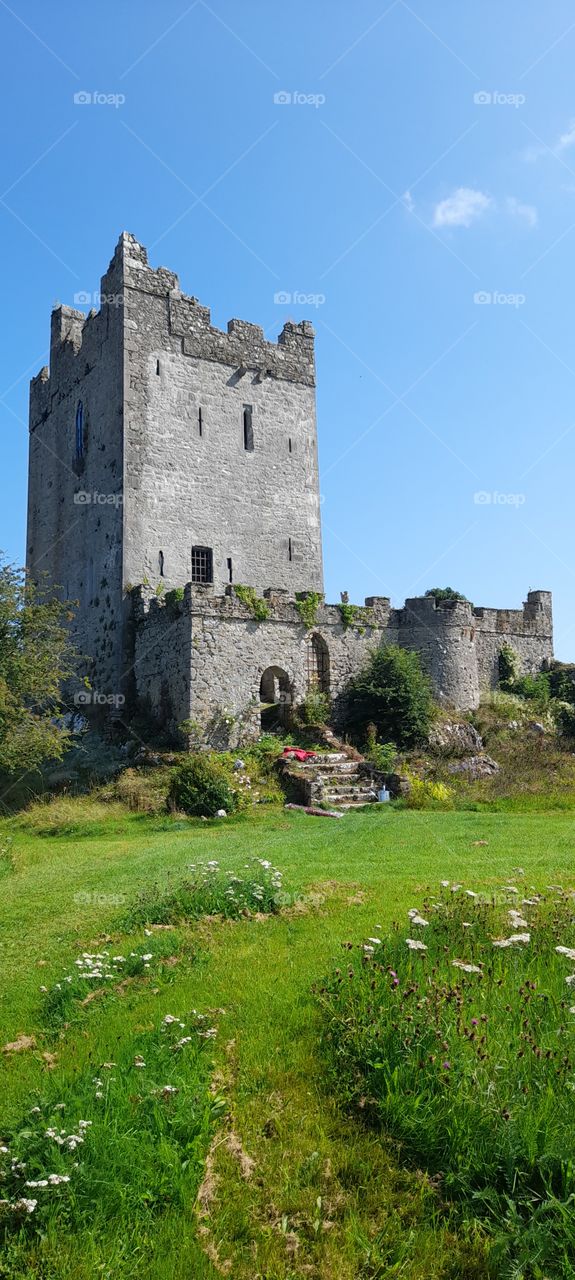 Clonony Castle a beautiful Irish castle in Co Offaly with wild flowers in the summer. Tower House late medieval c.1490, Anne Boleyn family