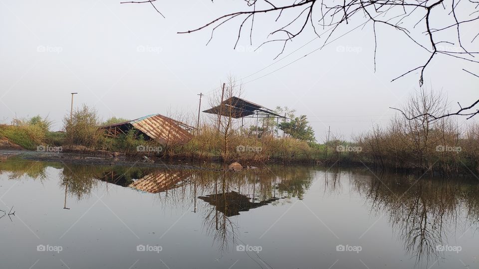 reflection in the water.