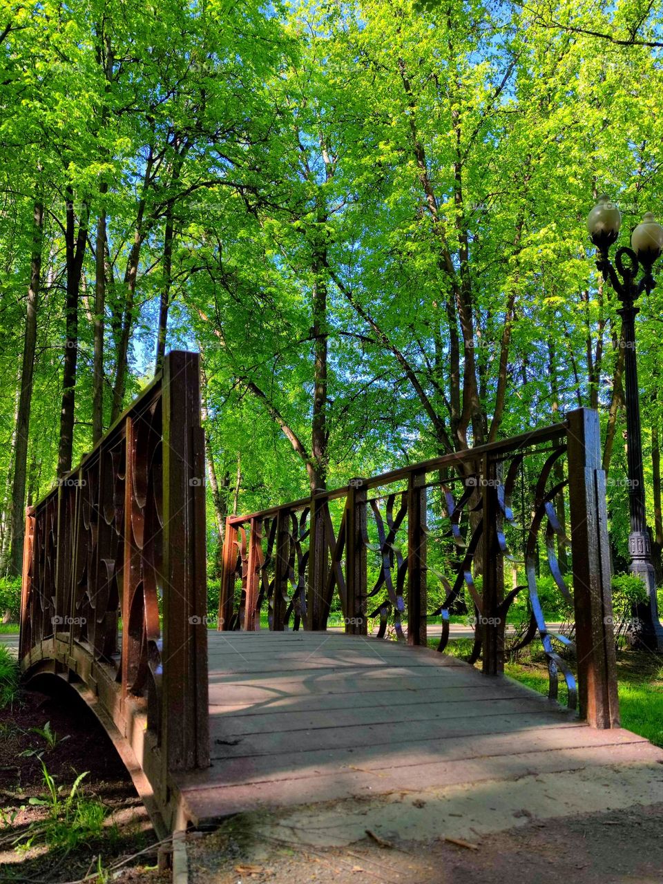 A park.  Green trees reach for the blue sky.  In the foreground is a wooden bridge on which the rays of the sun fall.