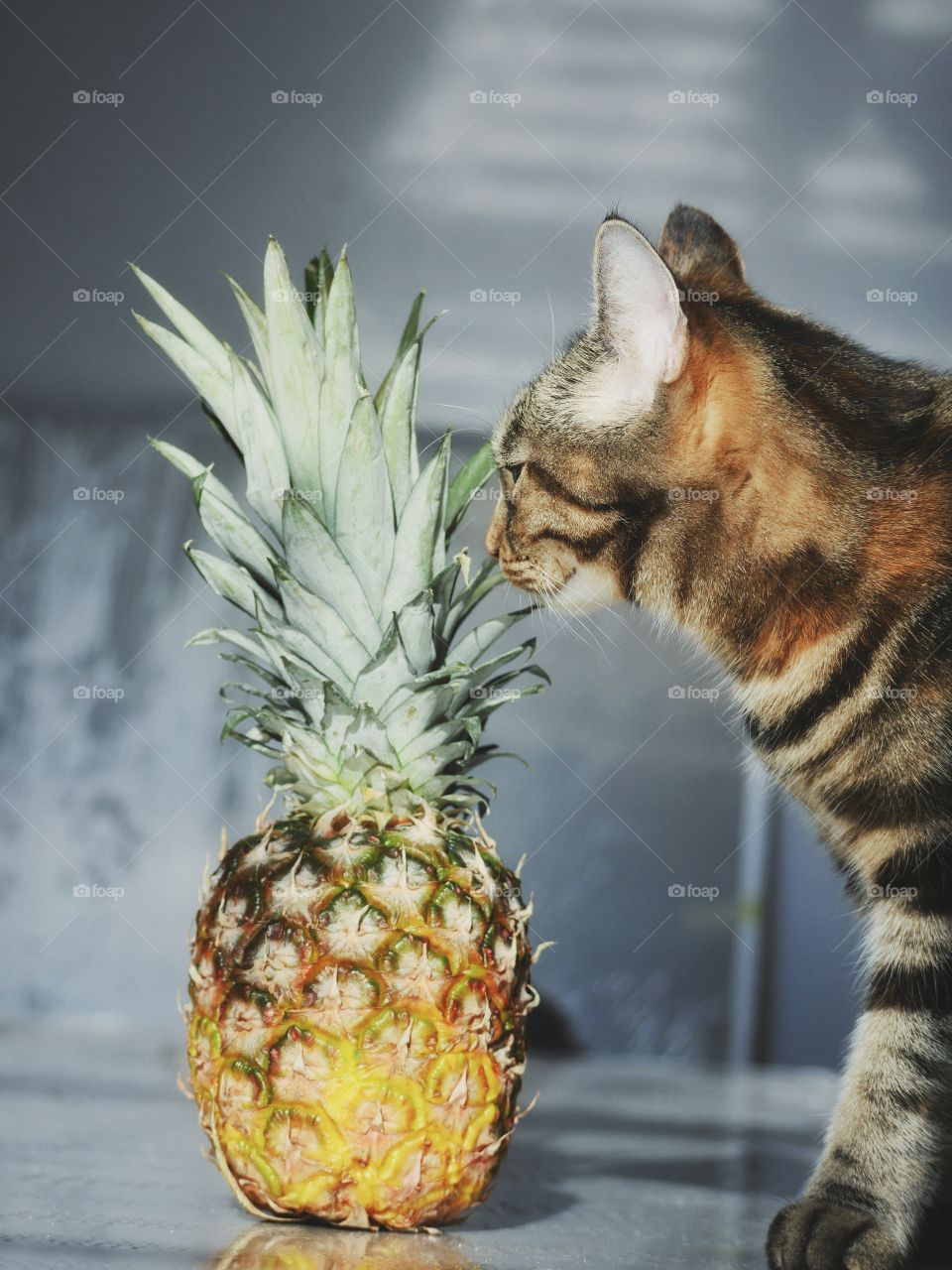 Pineapple