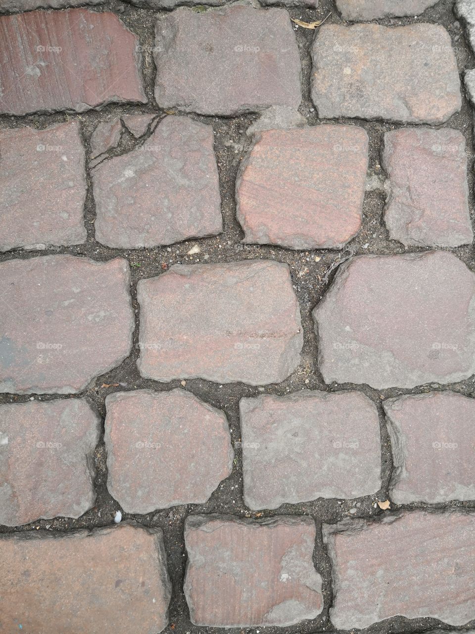 Floor, Strasbourg, France