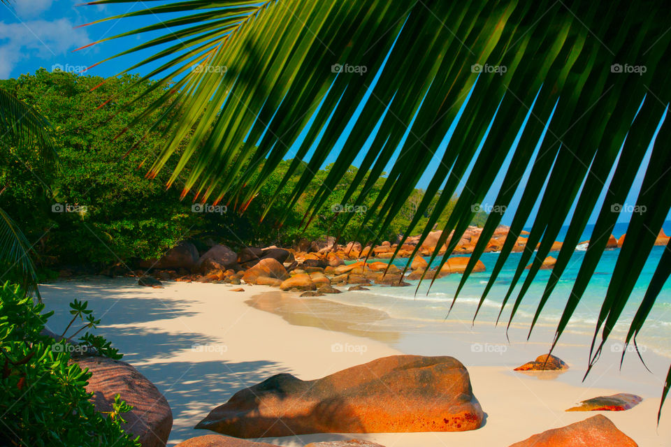 Beautiful beach In Seychelles 