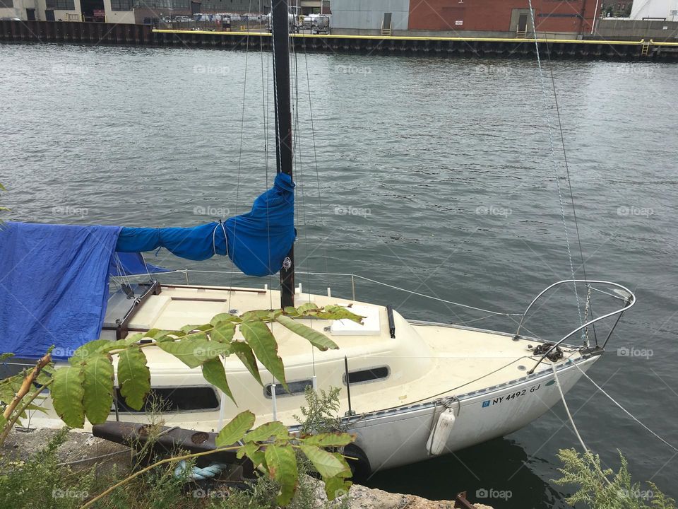 The front deck of the „Salvation“. our sailboat seen from the shore at Newtown Creek in Long Island City, Queens, New York with vegetation blowing in the gentle breeze. Photo from 2018. Hypnotic Productions