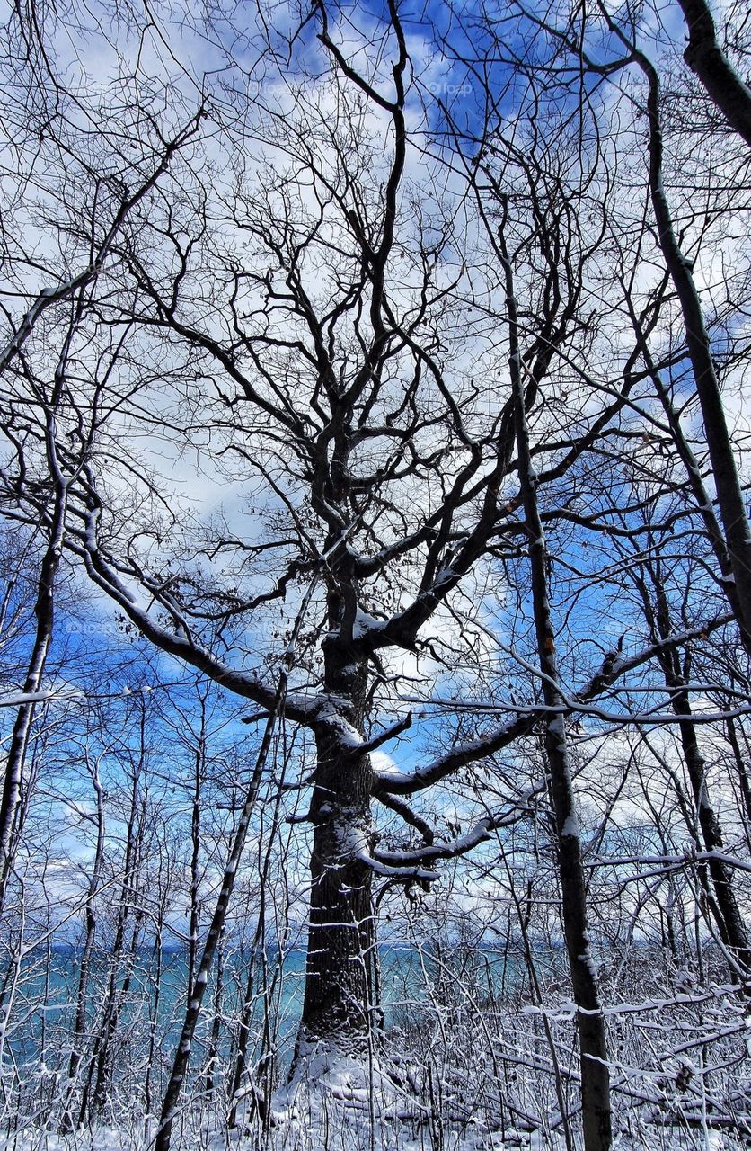 Winter in Wisconsin...