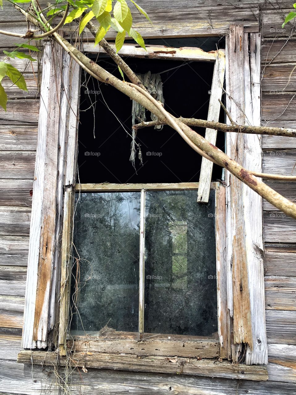 Abandoned window