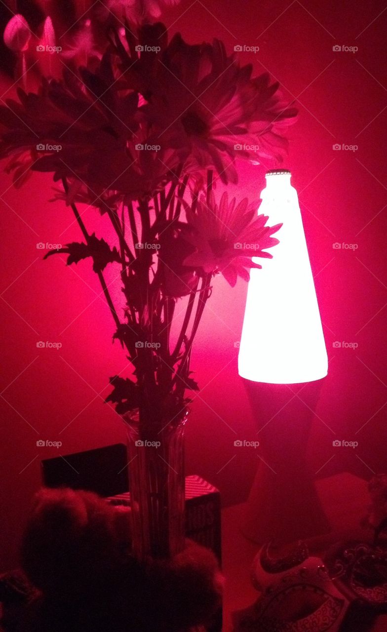 Lava lamp flowers 