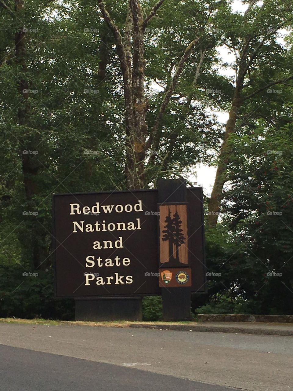 No Person, Road, Outdoors, Tree, Environment