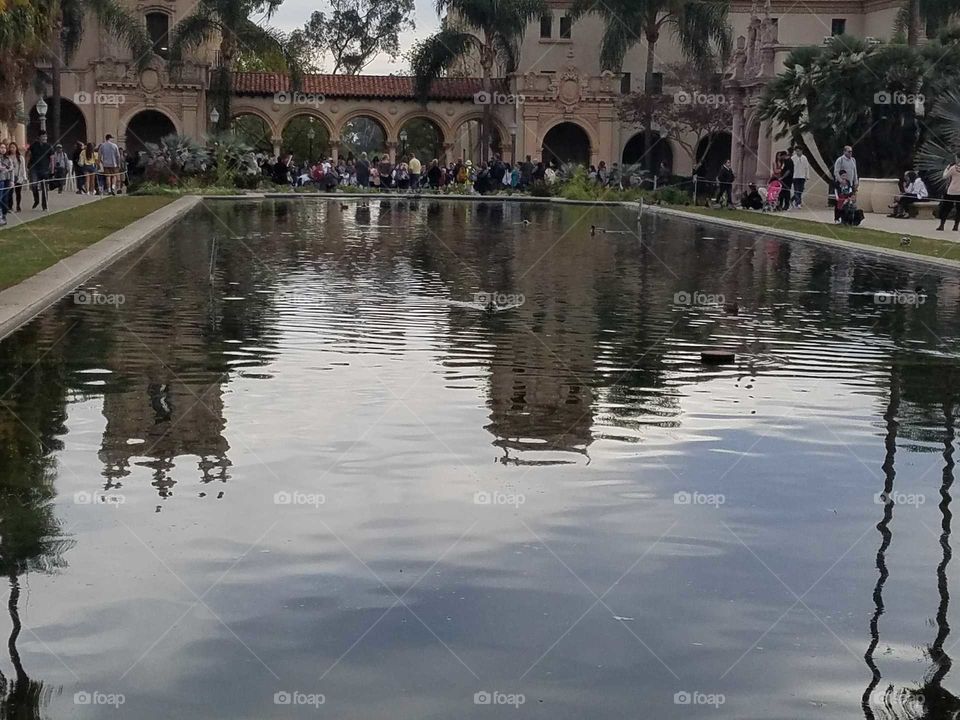 pond at Balboa park San Diego