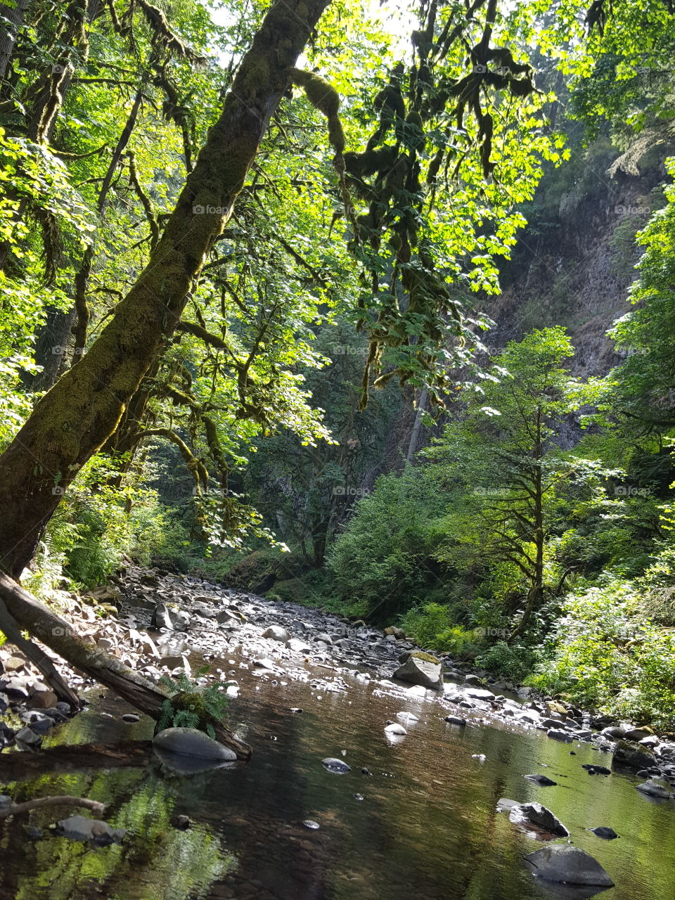 shallow river in Oregon