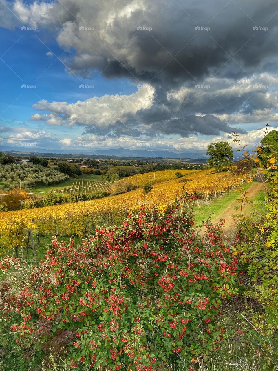 Today’s color palette 