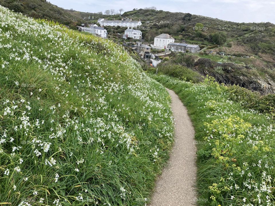 Springtime Headland