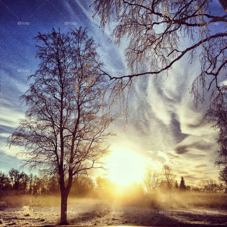 winter sky sweden nature by rui.dellavanzi