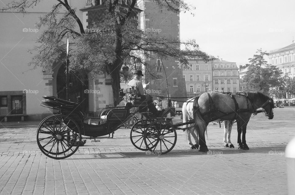 Carriage Taxi