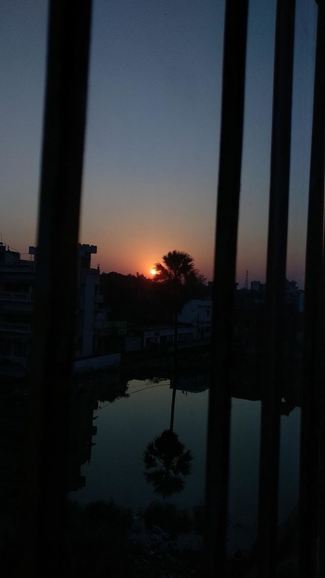 shoot by mi a1 phone without any filter