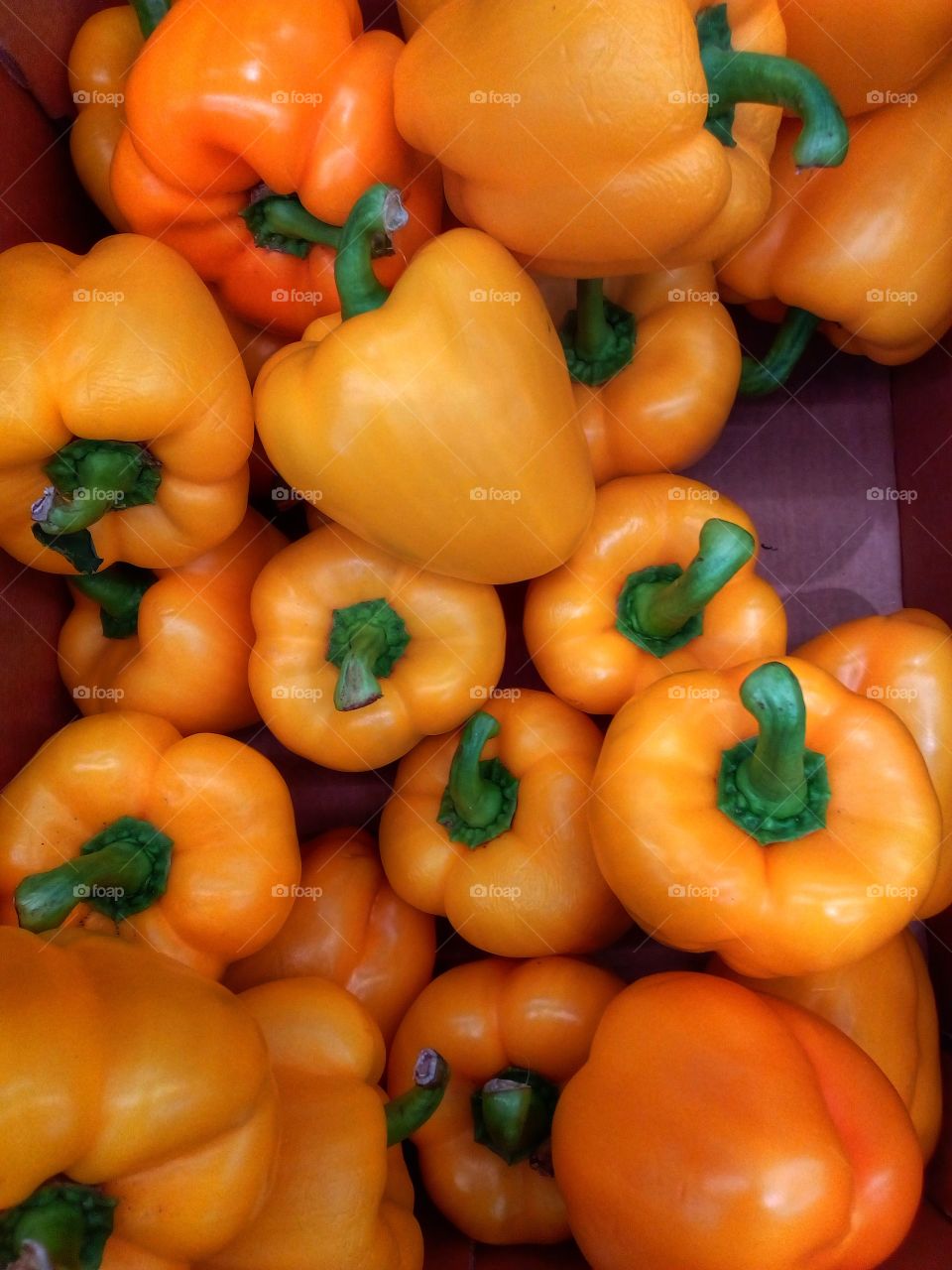 yellow paprika background