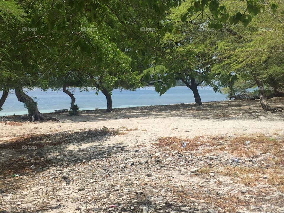 Beach in Haiti 