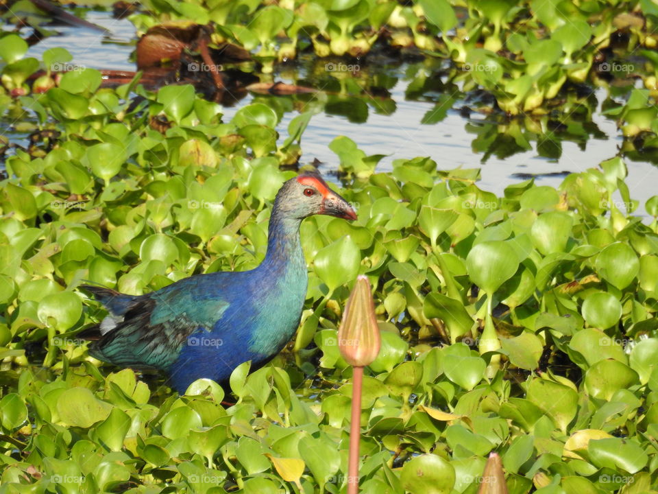 Nature # Our friend early morning searching for food 🍲😅