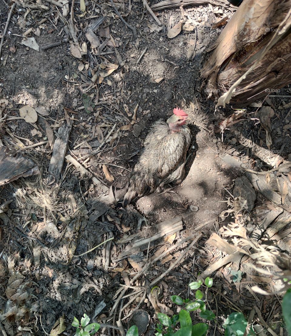 a bath in the middle of the ground