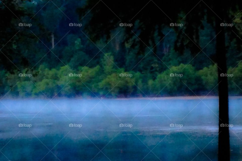 River fog