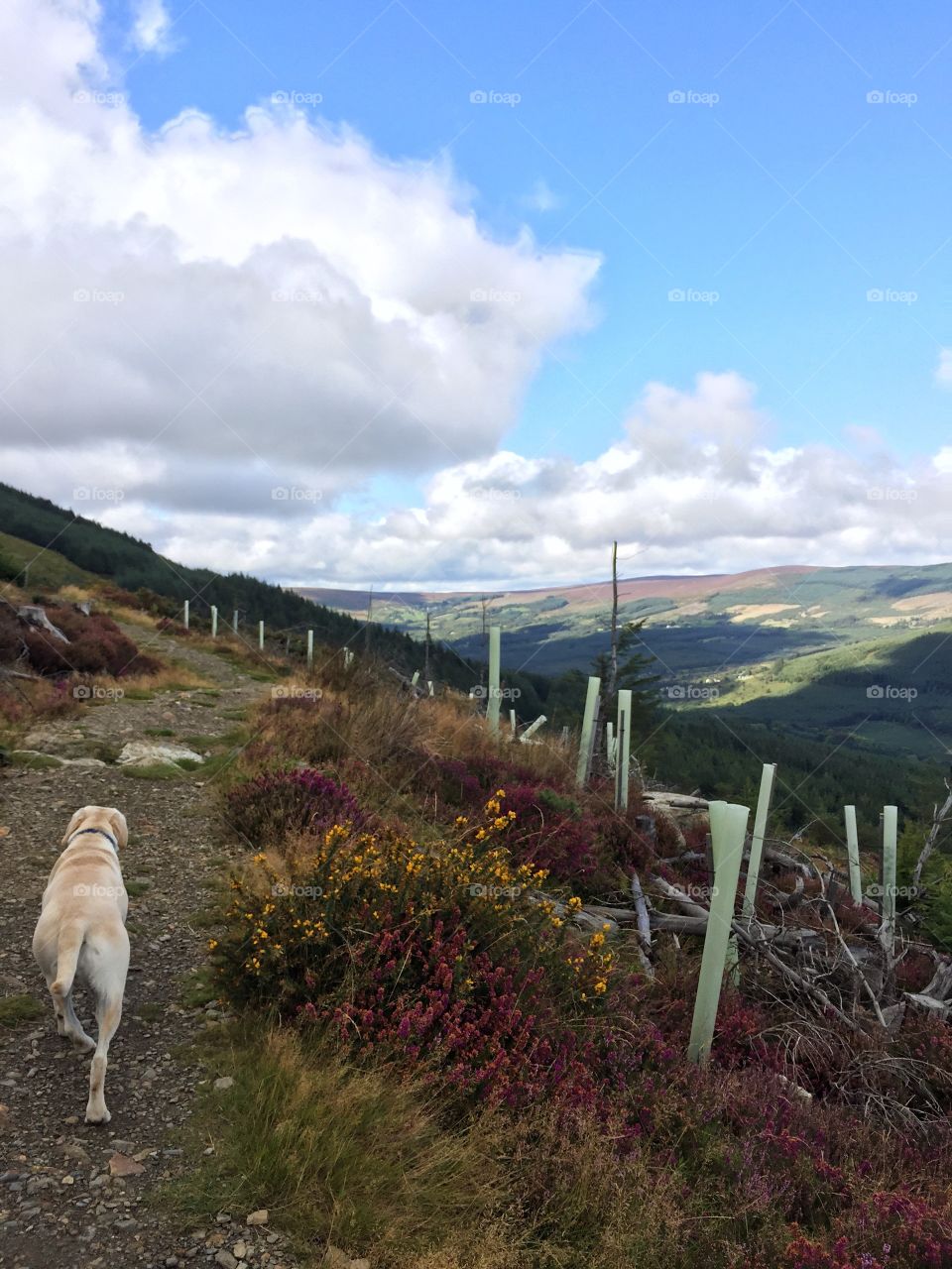 Landscape, No Person, Nature, Travel, Mountain
