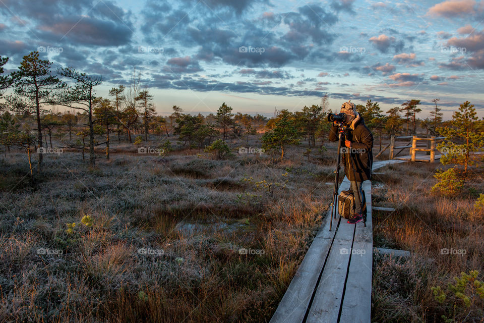 photographer photographs the sunrise in the bog in the cold autumn morning