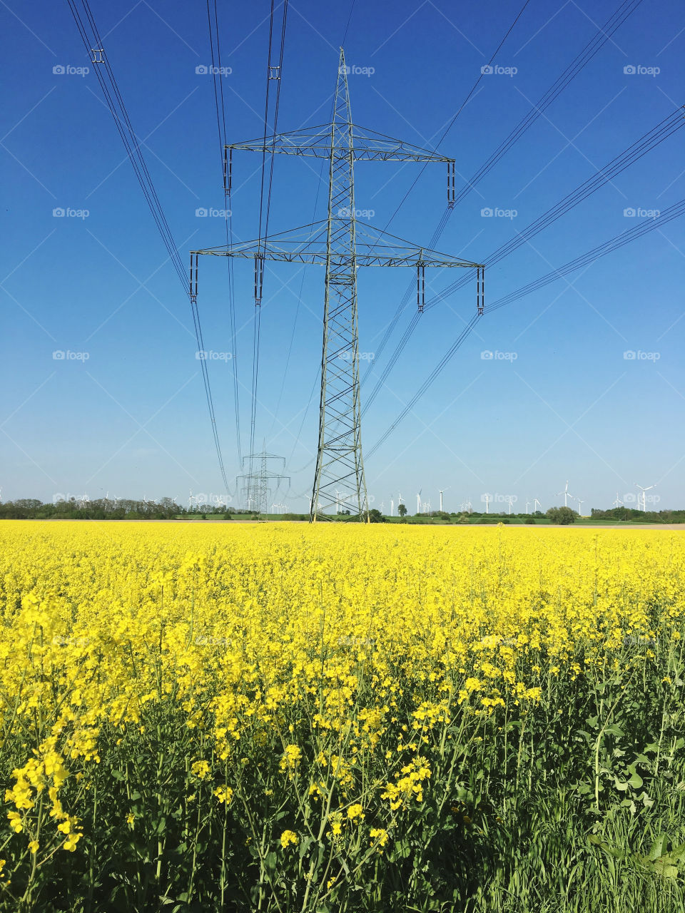 Electricity  Pylon on the Field