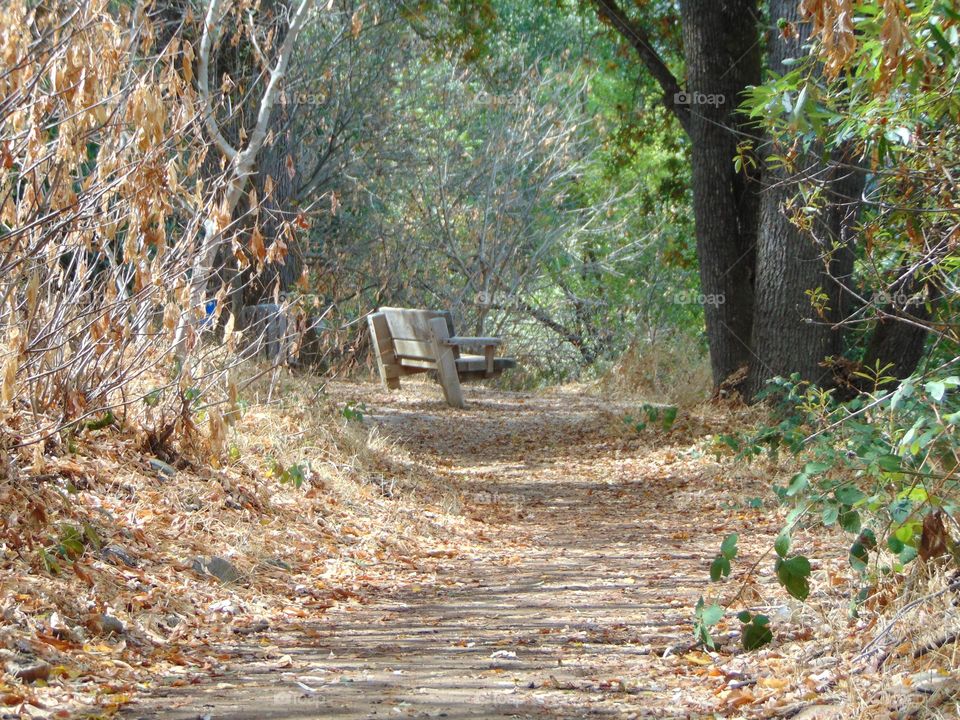 hiking trail rest stop park bench overlooking the river