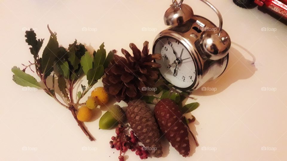forest cocktail a clock