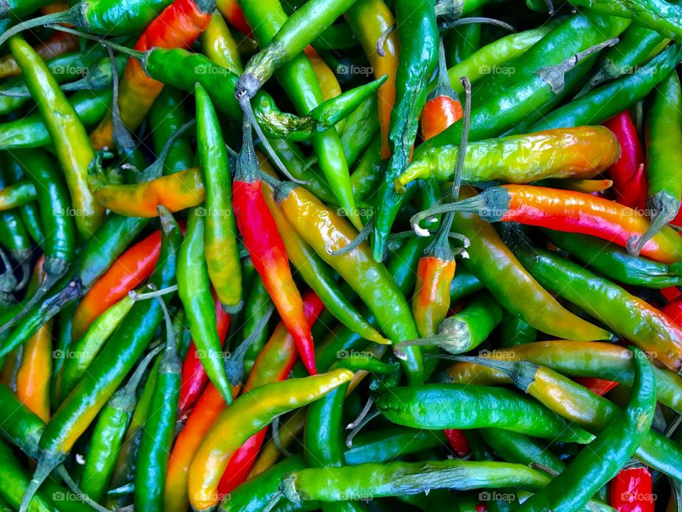 Green chilli mixed with red chillies