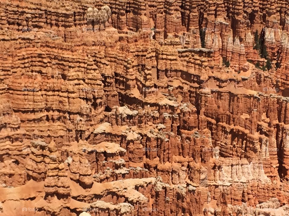 Bryce Canyon NP, Utah