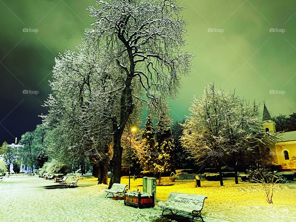 Walk in the park at night