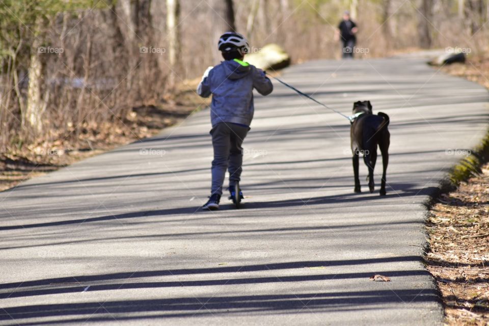 Spring time with your dog 