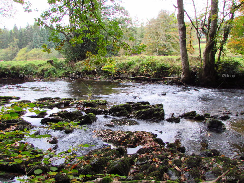 Scenic view river barle flowing in england