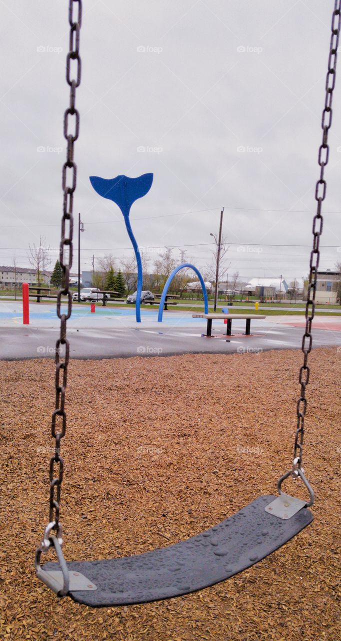 The unseen blue whal