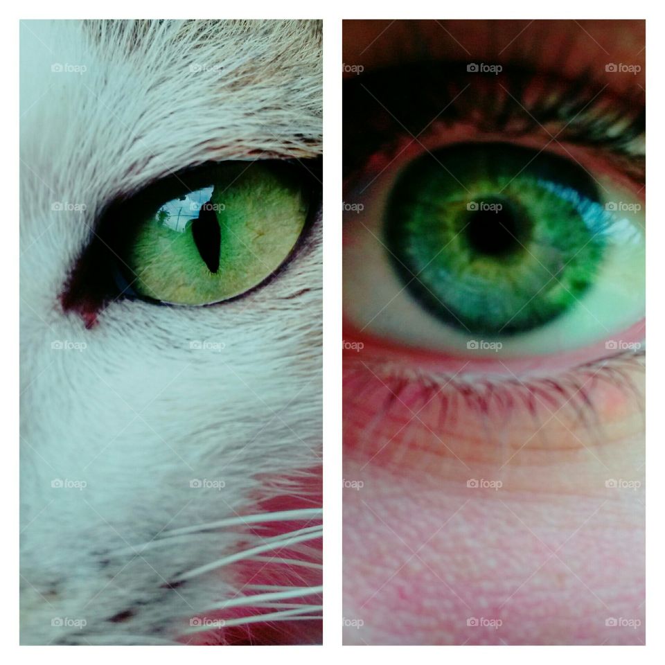 Same Eye