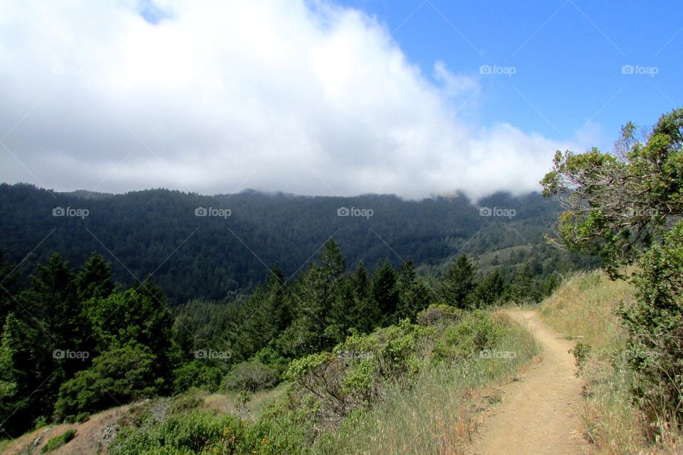 California hike! In the Bay Area 