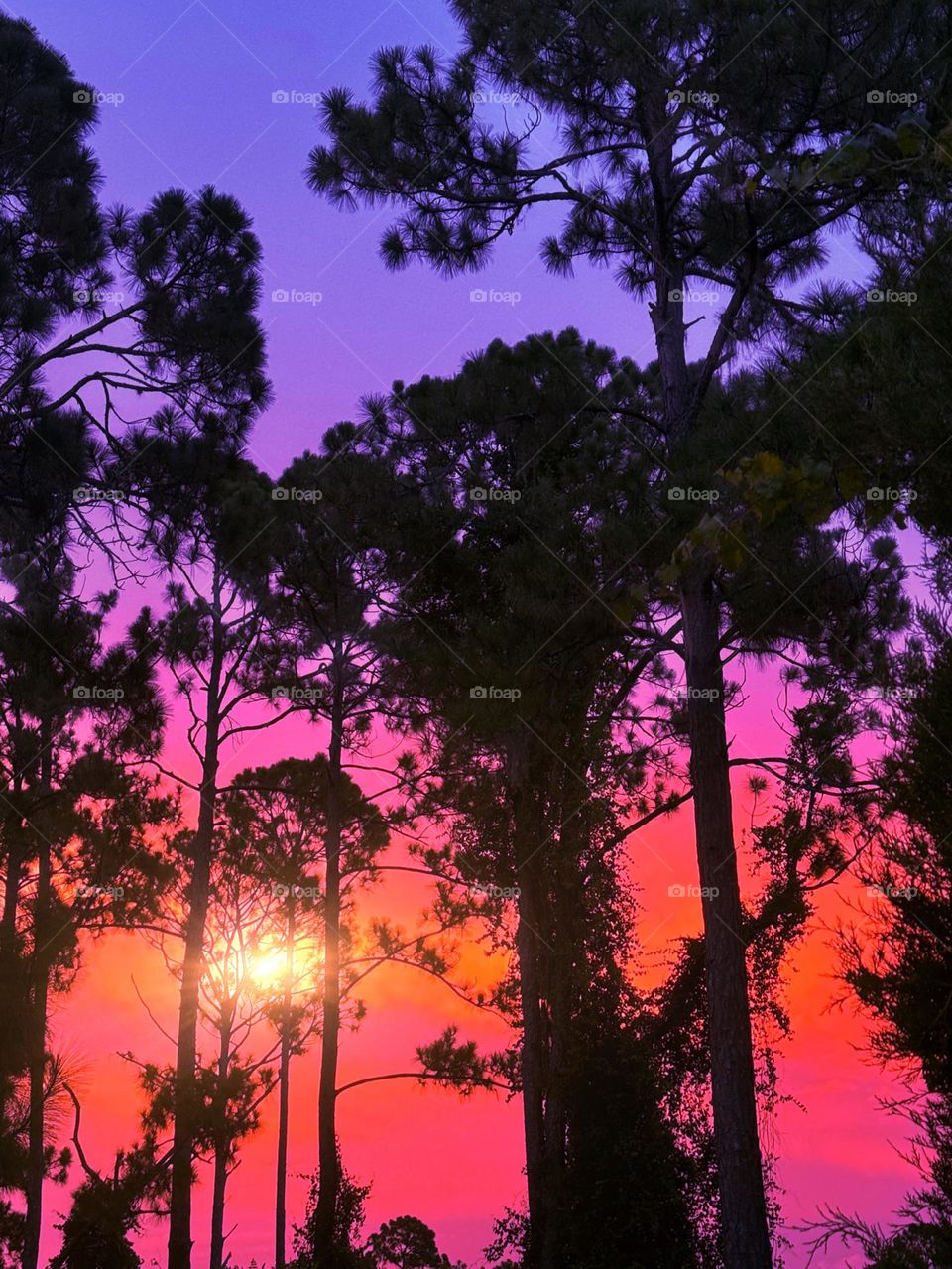 Vintage sunset vibes.