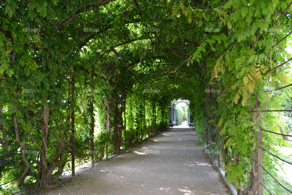 Garden entrance 