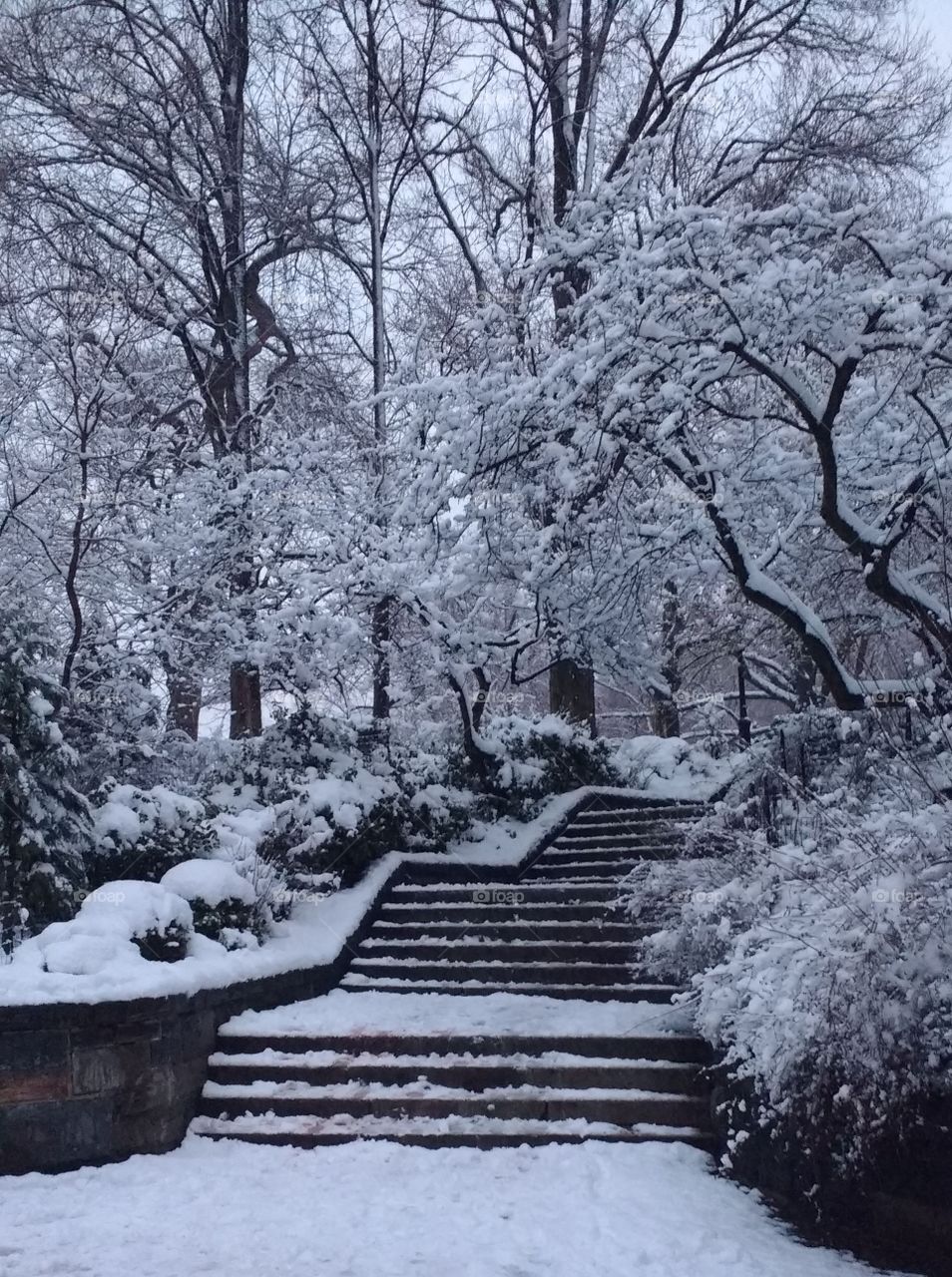 Snow Filled Park NYC