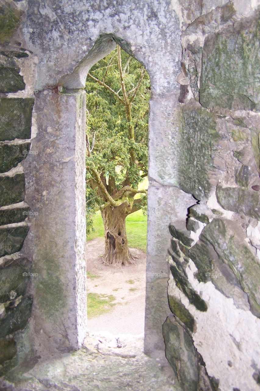 Blarney castle window