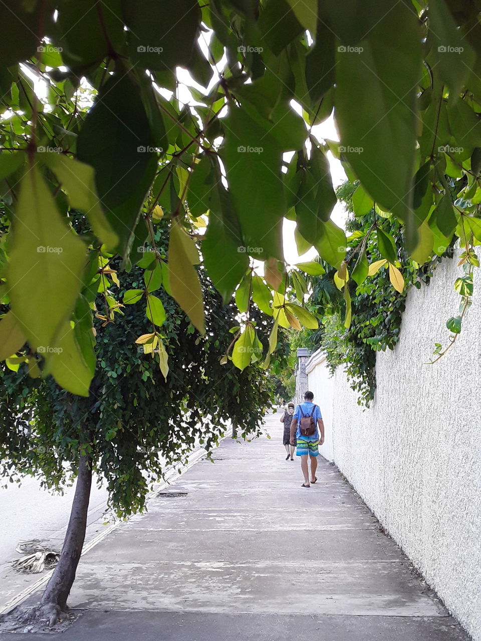 people walking down the street tree and yellow fence