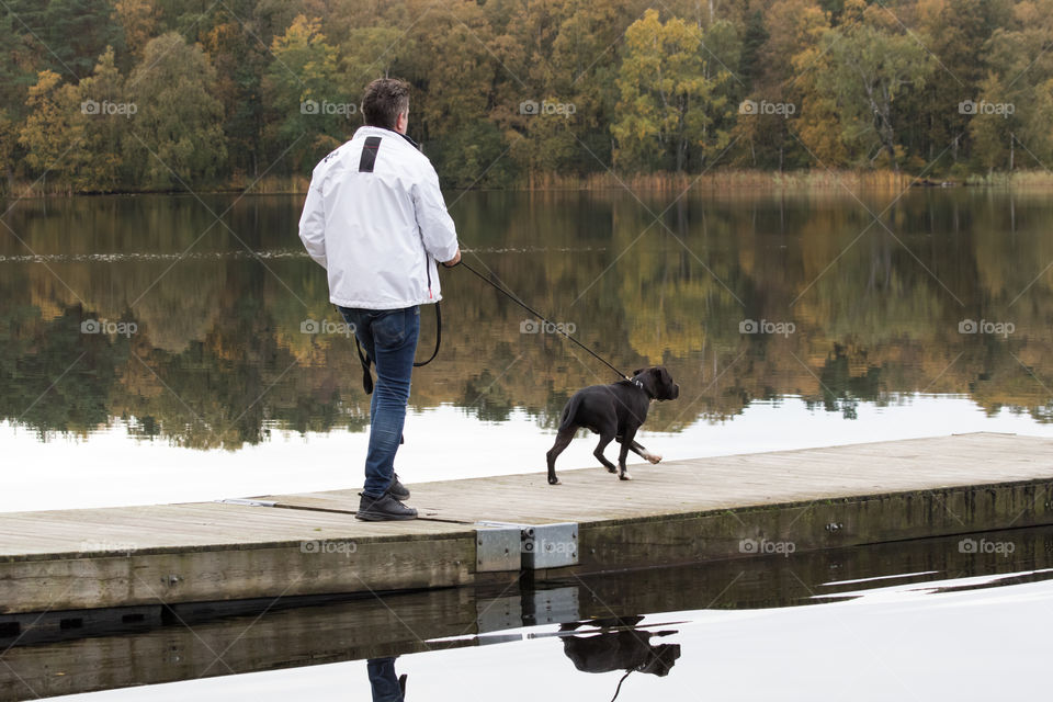 Taking a walk with the dog by the lake in autumn , reflections, hund spegelblank sjö höst 