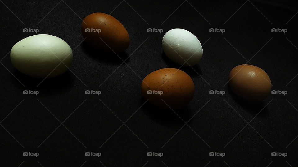 white and brown eggs