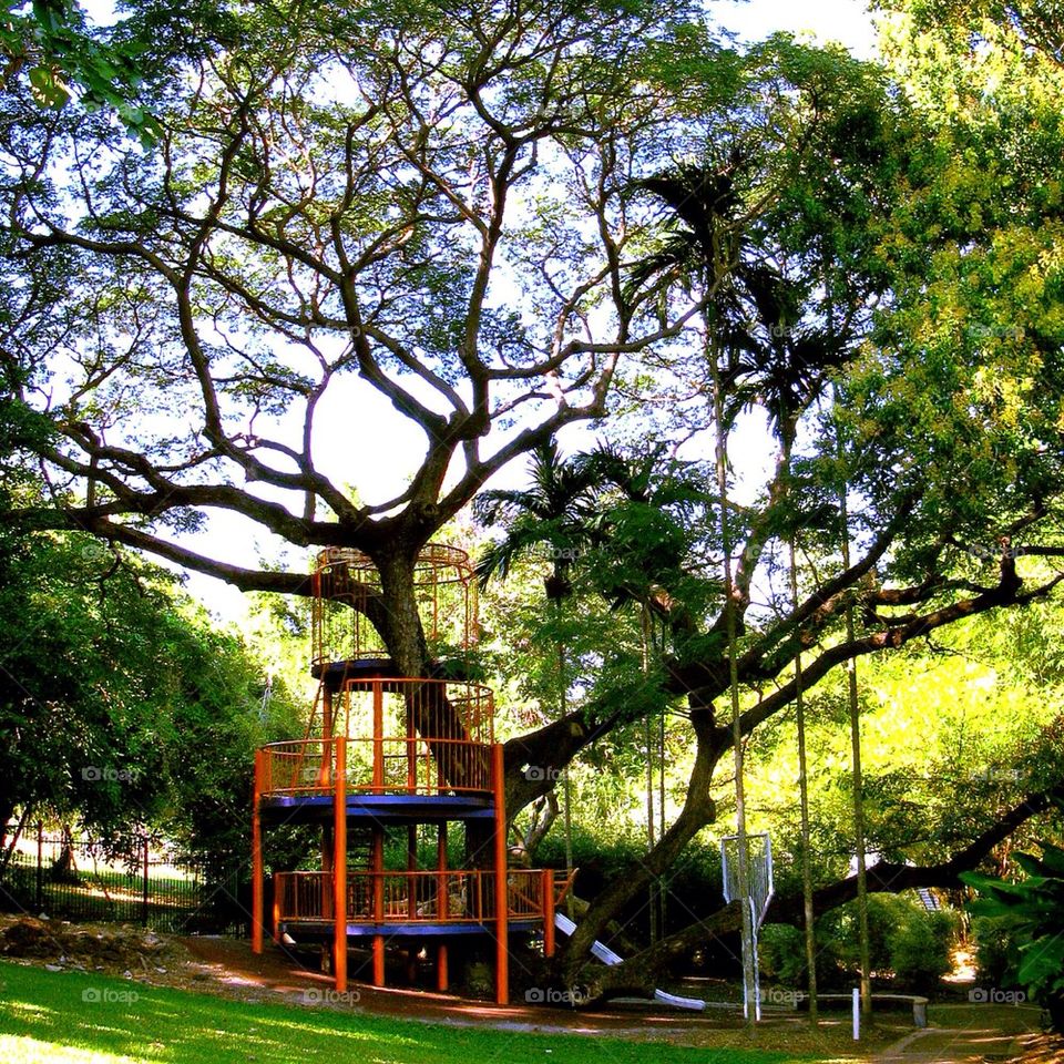 Tree Climbing Frame!