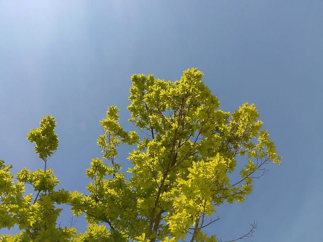 Beautiful nature