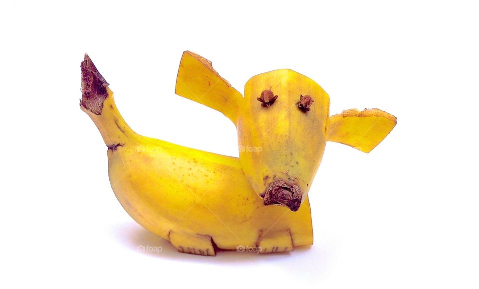 banana dog🍌🐕