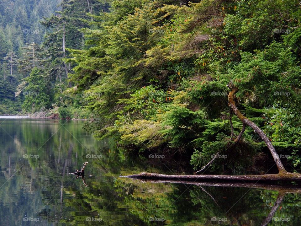 Damp Lake Day